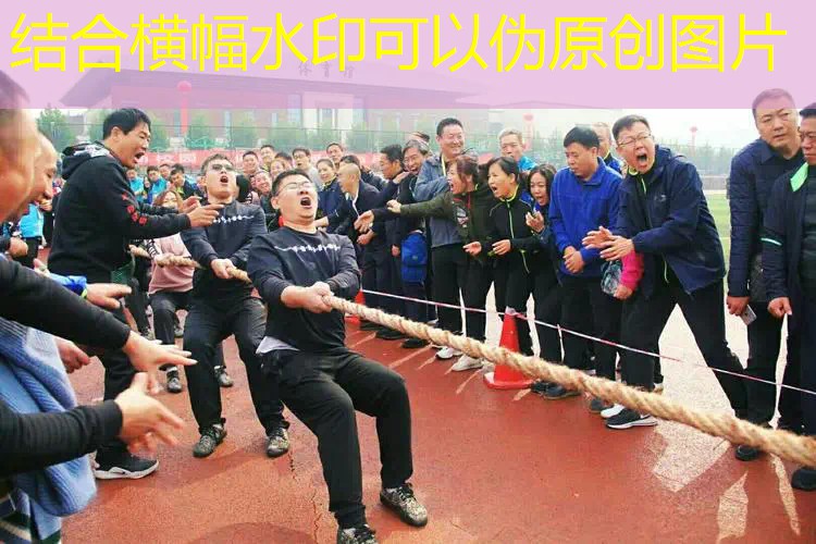 小孩用什么网球拍线最好 小孩用什么网球拍线最好
