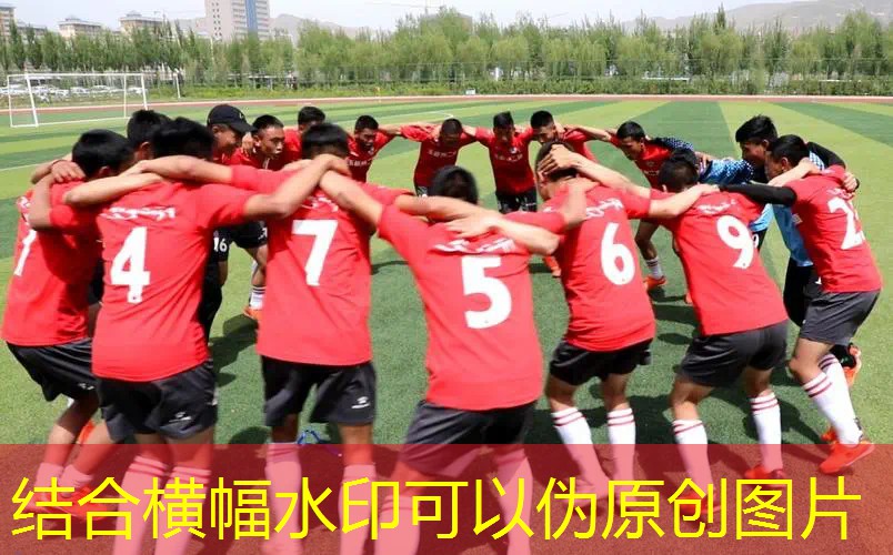 邓禄普最好的网球拍 邓禄普最好的网球拍