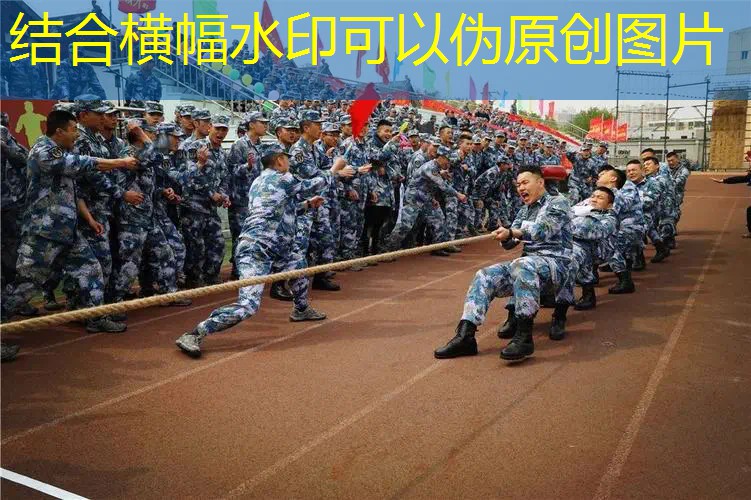 网球拍拍头框可以换吗_ 网球拍拍头框可以换吗_