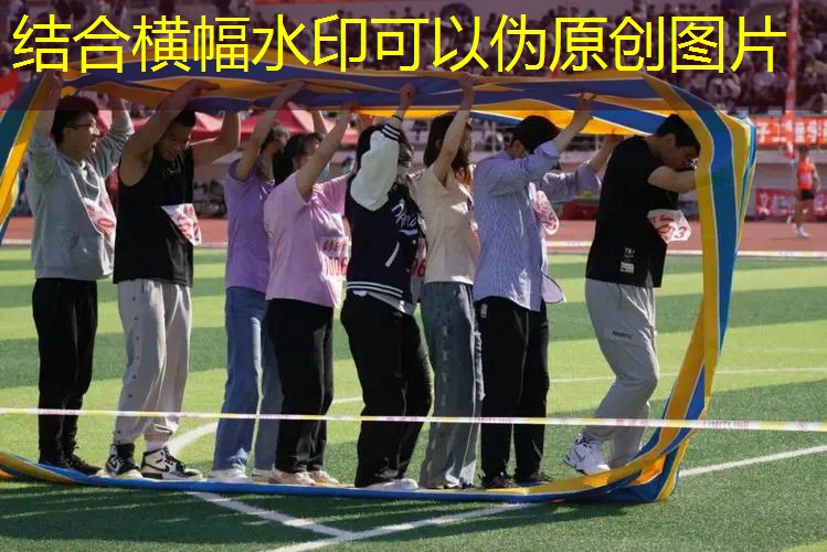 网球拍好还是威尔逊好 网球拍好还是威尔逊好