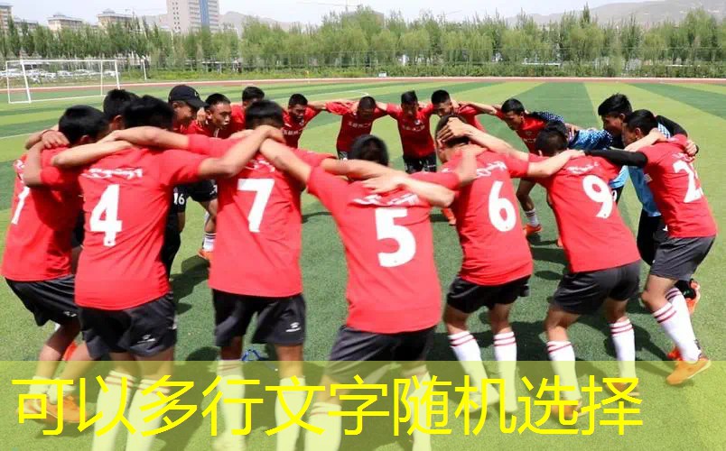 网球拍训练器是什么