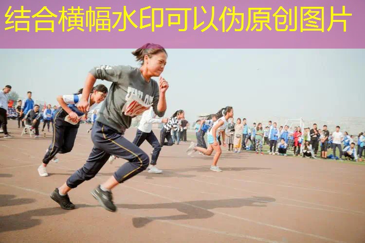 网球拍的非常规用途是 网球拍的非常规用途是