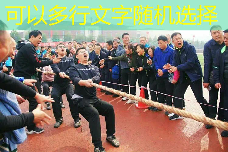 复合碳素一体网球拍 复合碳素一体网球拍
