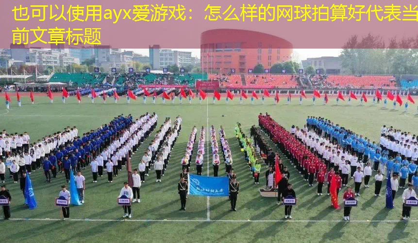 怎么样的网球拍算好 怎么样的网球拍算好