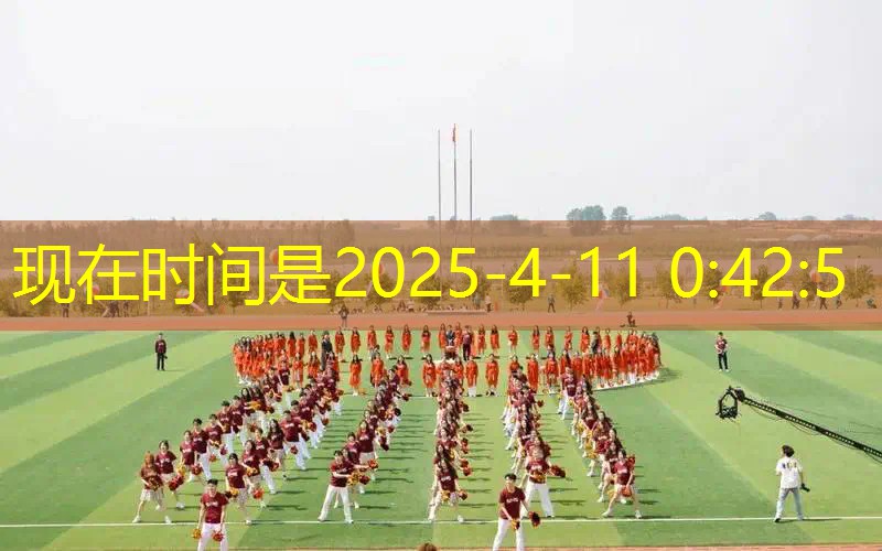 百保力成人网球拍 百保力成人网球拍