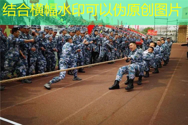 百宝力网球拍25寸 百宝力网球拍25寸