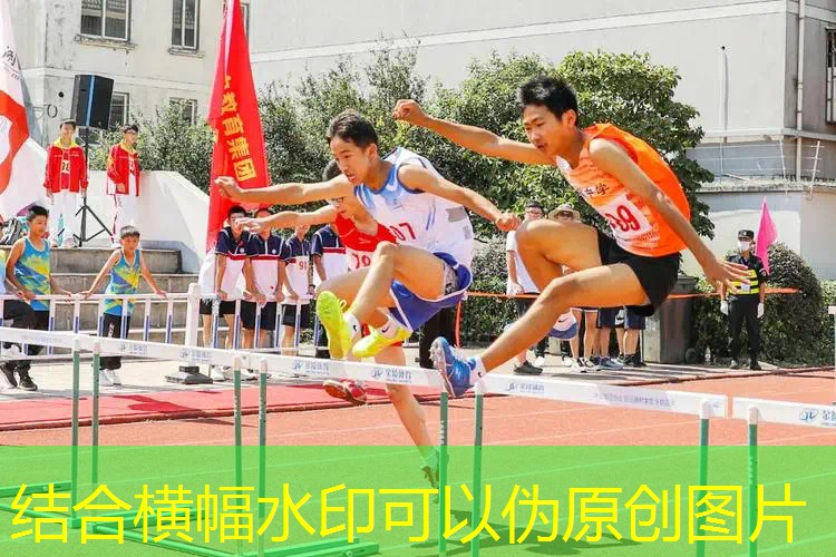 网球拍子线材货有哪些