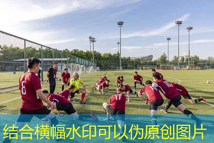 百宝丽网球拍哪里的 百宝丽网球拍哪里的