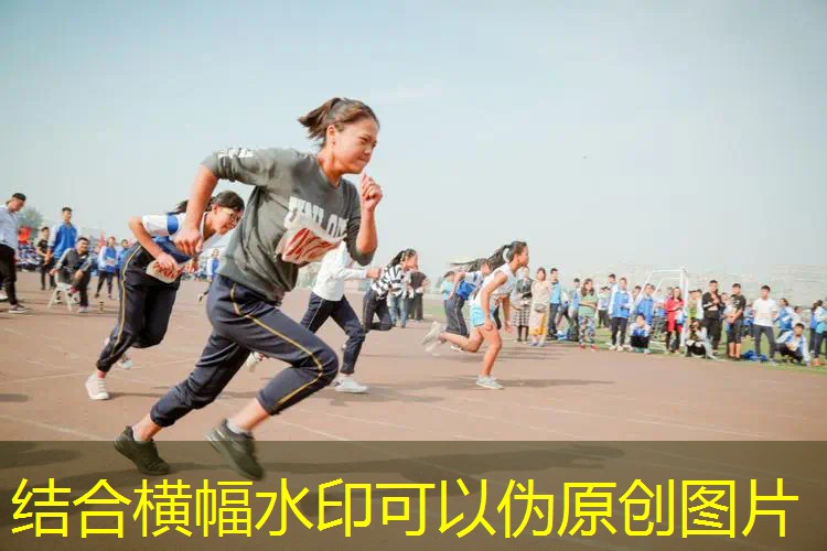 网球拍的避雷器叫什么 网球拍的避雷器叫什么